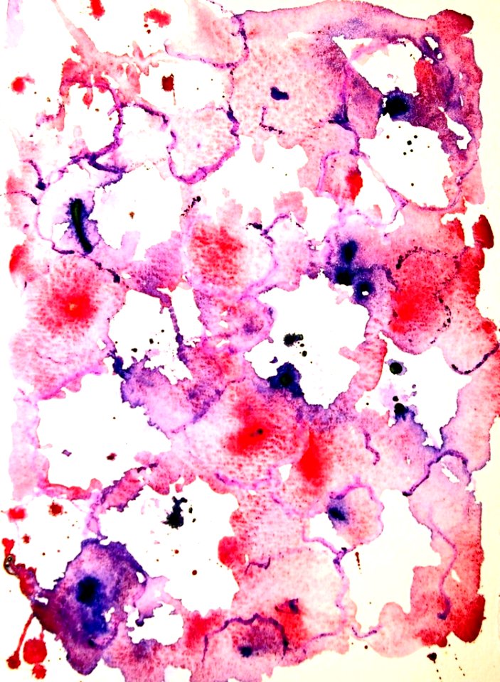 Flowers III