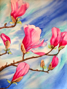 Magnolia on blue