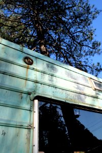 Tree Through Trailer