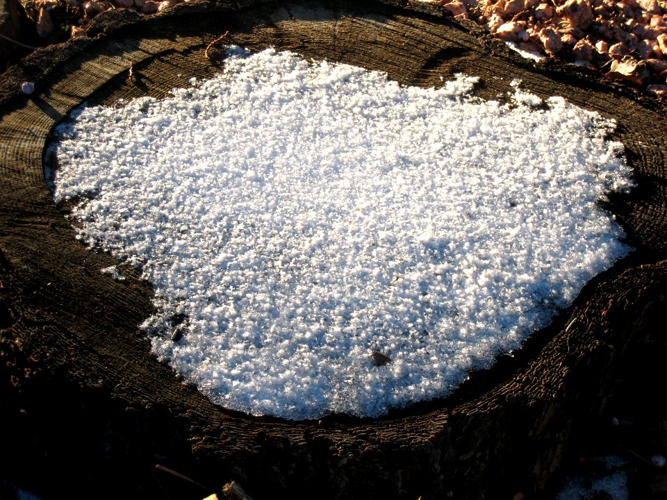 Stump Icing