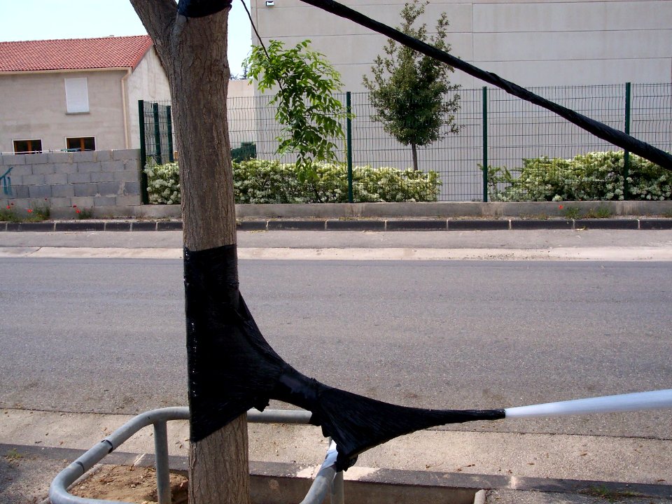 cedricbernadotteARTDESLIEUX2004 (26)