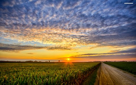 Corn Field Road Clouds Sunset 1920x1200 photo
