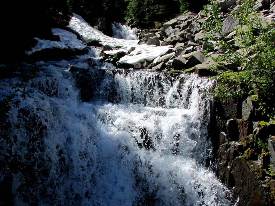 Mt. Rainier NP in WA