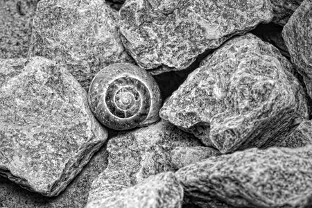 Stones black and white nature photo