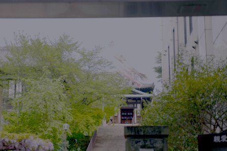 錦市場