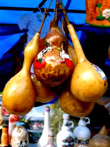 Small gourds at Kikinda festival photo