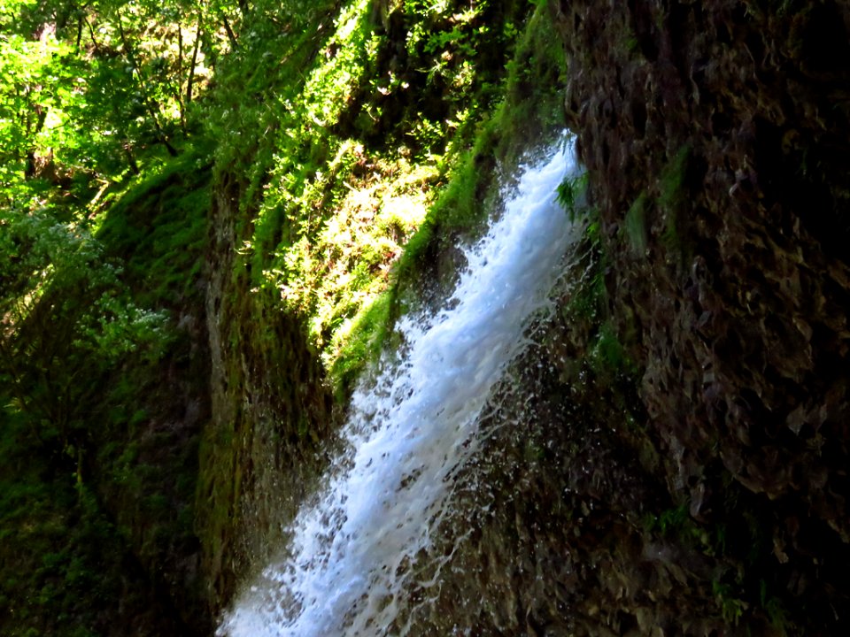 Ponytail Falls at Columbia River Gorge in Oregon