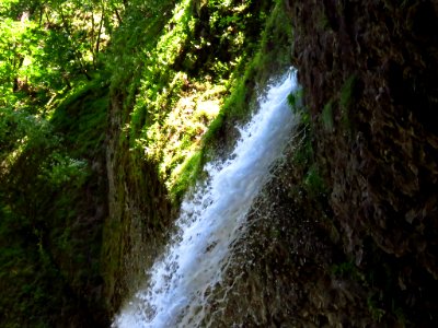 Ponytail Falls at Columbia River Gorge in Oregon photo