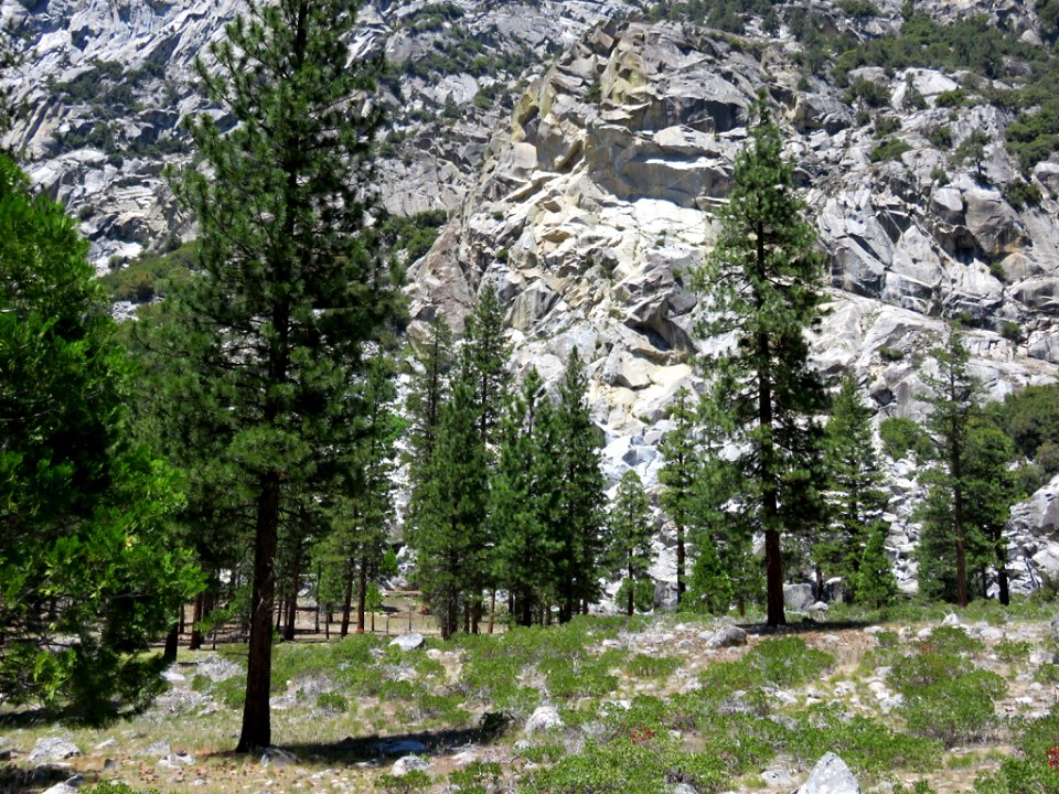 Cedar Grove at Kings Canyon NP in CA