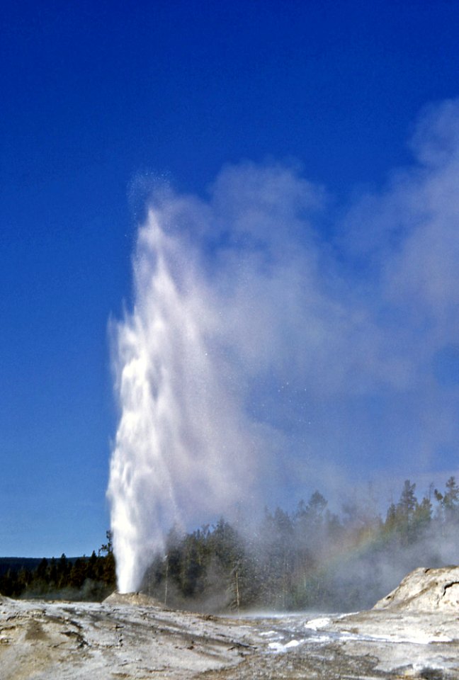 Big Cub Geyser erupting (1950) 1