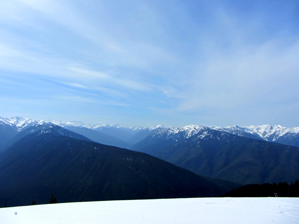 Hurricane Ridge at Olympic NP in WA