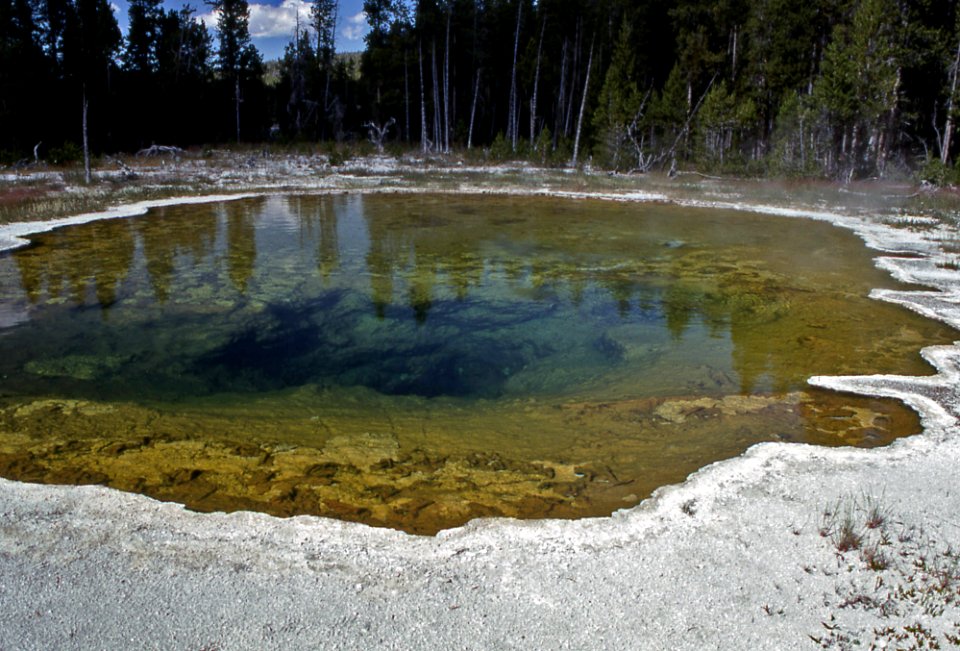 Mushroom Pool (October 1993)