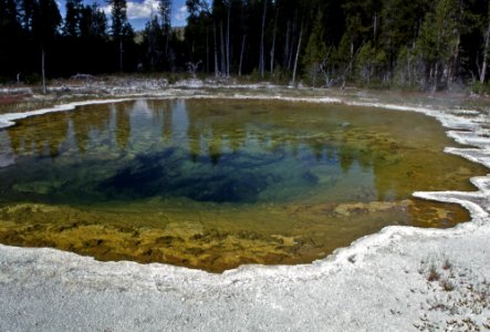 Mushroom Pool (October 1993)