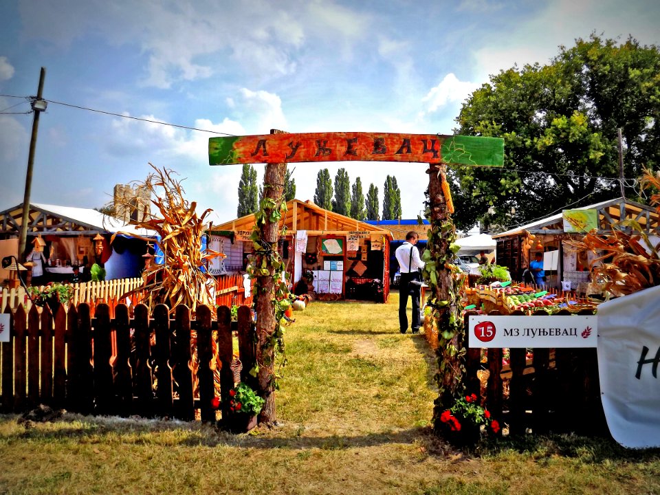Lunjevac, village show