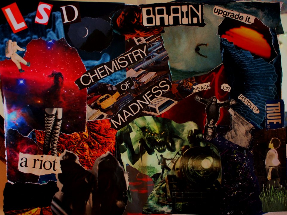 chemistry of madness