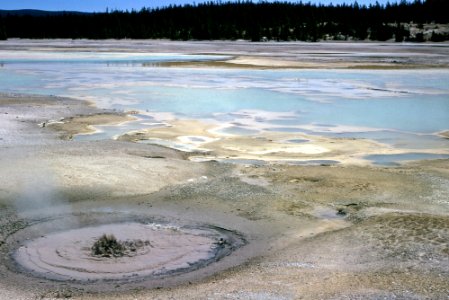 NHSPNN127 & Horseshoe Spring (1964)