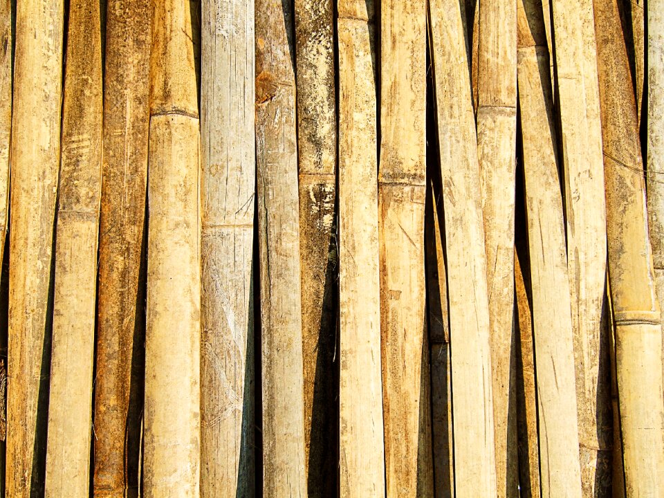 Brown background stripes