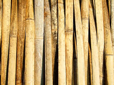 Brown background stripes