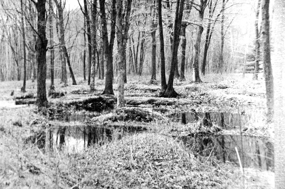 Pre-Columbian petroleum pits (northwestern Pennsylvania, USA) photo