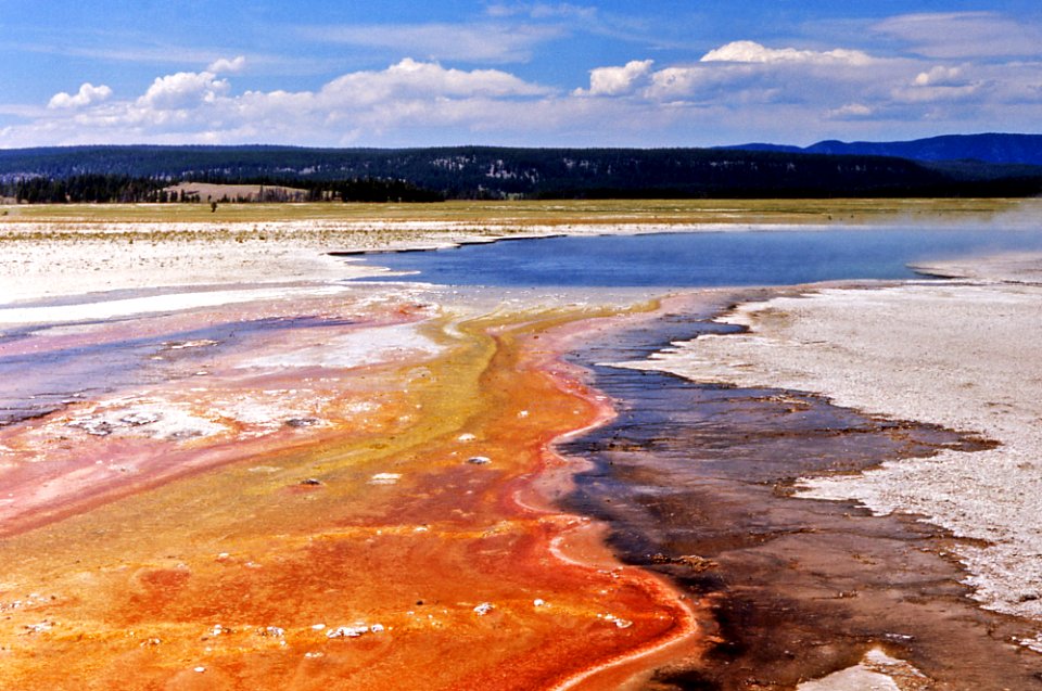 Gentian Pool (1966)