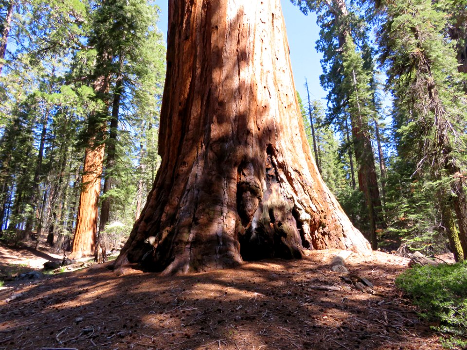 Kings Canyon NP in CA