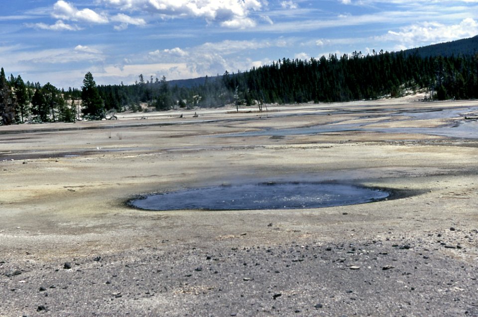 One Hundred Spring Plain (1968)