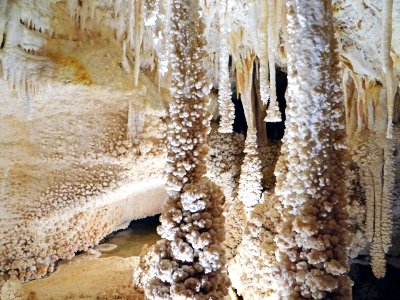 Travertine speleothem (Caverns of Sonora, Texas, USA) 3 photo