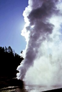 Riverside Geyser erupting (1967)