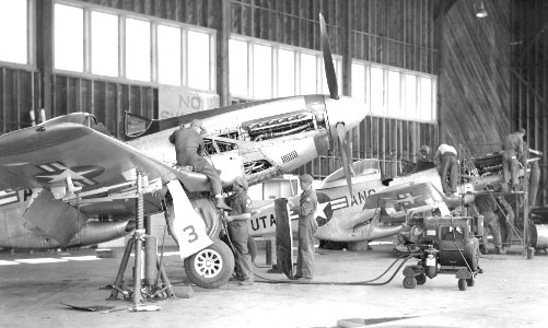 North American P-51 "Mustangs" in hangar Santa Rosa