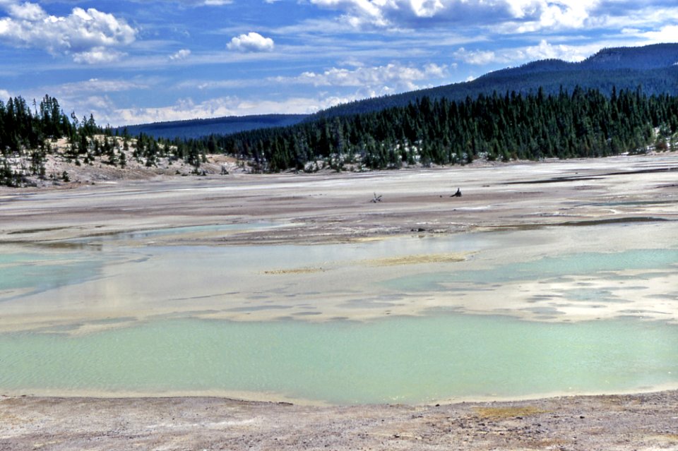 Horseshoe Spring (1968)