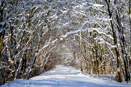 Schneelandschaft photo