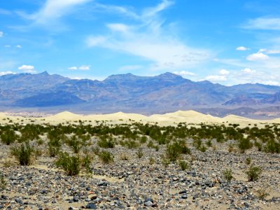 Sand Dunes at Death Valley NP in California photo