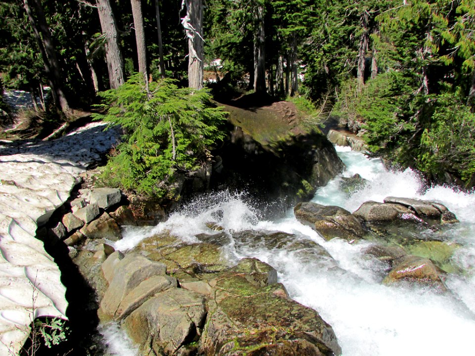 Mt. Rainier NP in WA