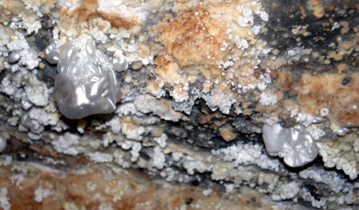 Hydromagnesite cave balloons (Jewel Cave, Black Hills, South Dakota, USA) 1 photo