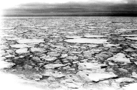 Pancake ice (1955) (Amundsen Sea, Antarctica) 4 photo