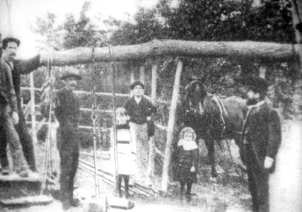 1800s spring-pole rig photo