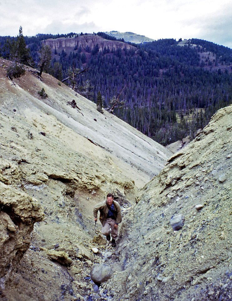 Death Gulch (Yellowstone, Wyoming, USA) (1963)