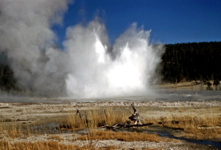 Sapphire Pool erupting (17 October 1959)