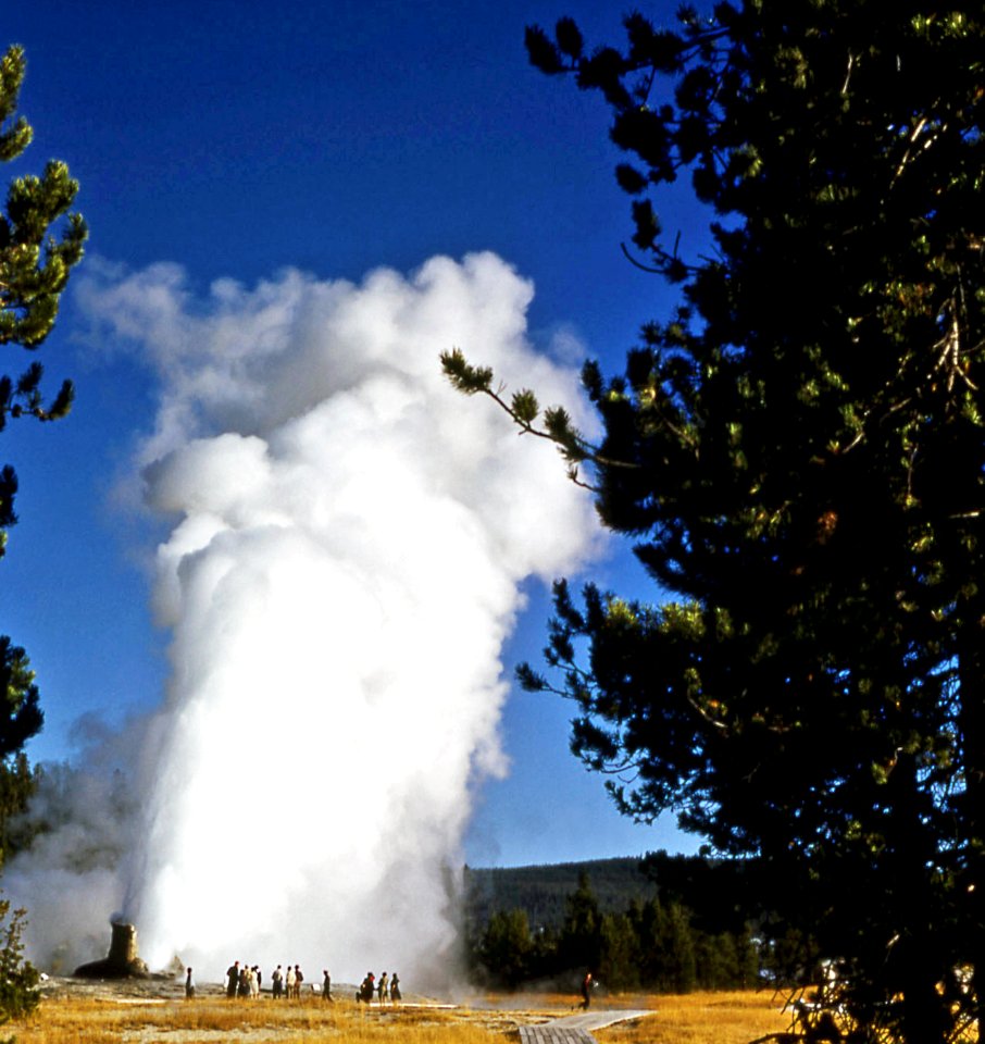 Giant Geyser erupting (1952) 1