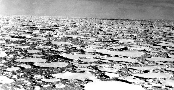 Pancake ice (1955) (Amundsen Sea, Antarctica) 2 photo