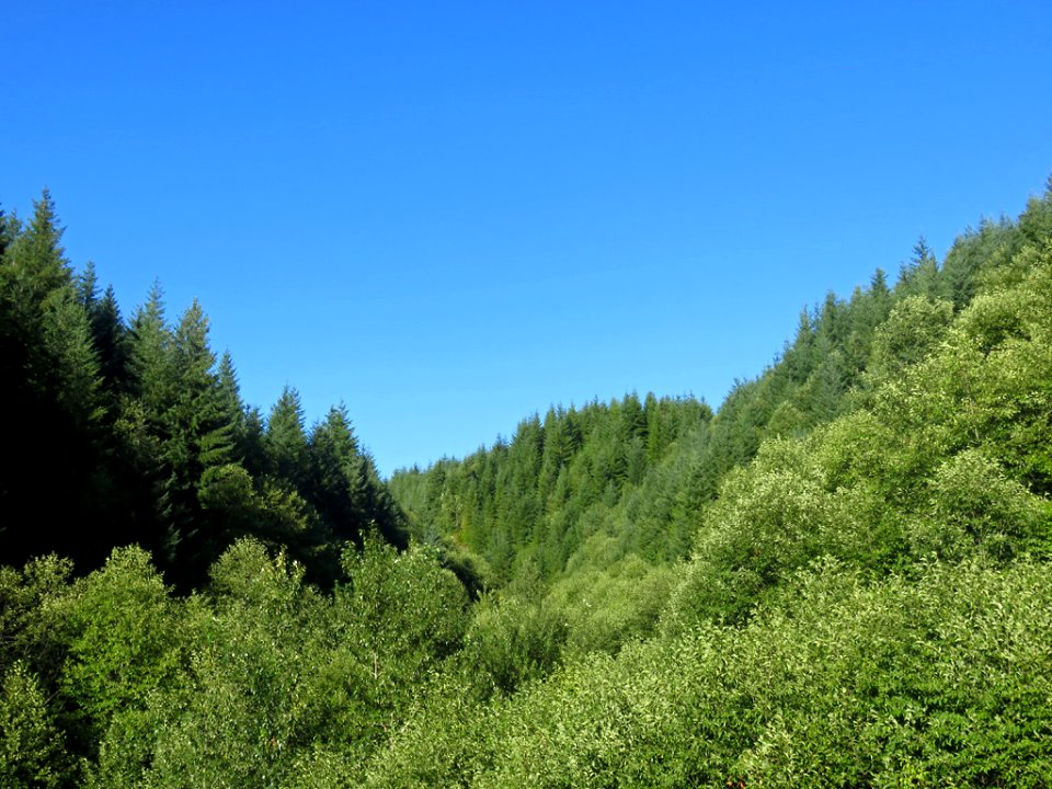 Washington State