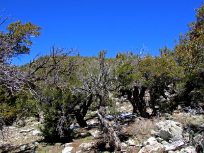 Great Basin NP in NV
