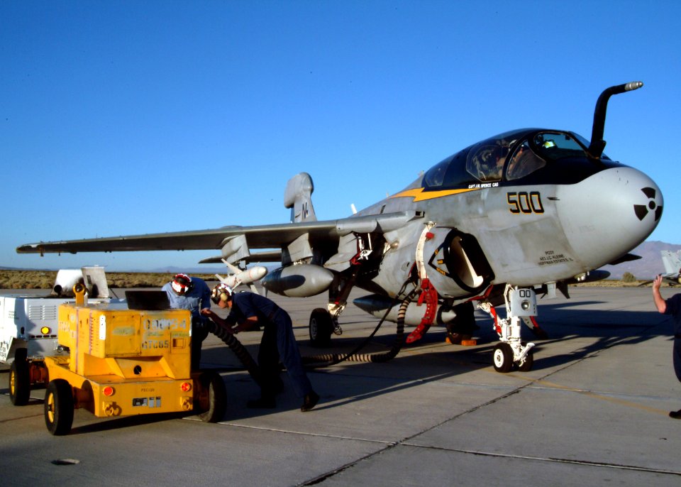 Grumman EA6B "Prowler"