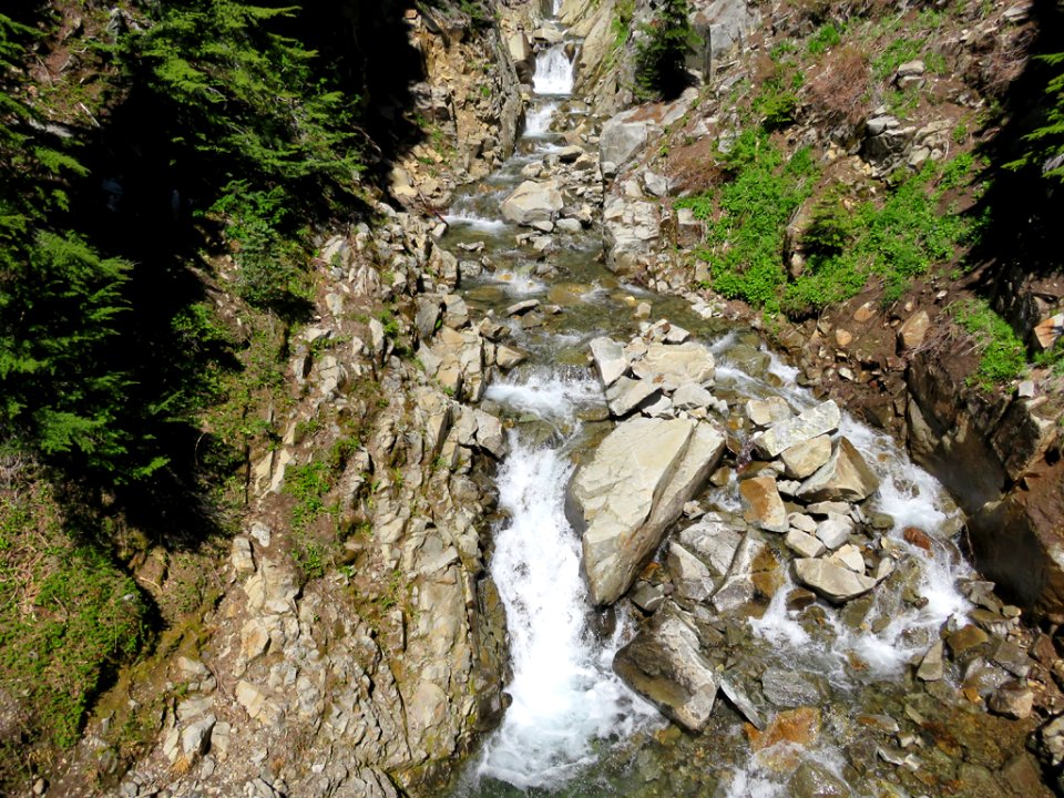 Mt. Rainier NP in WA
