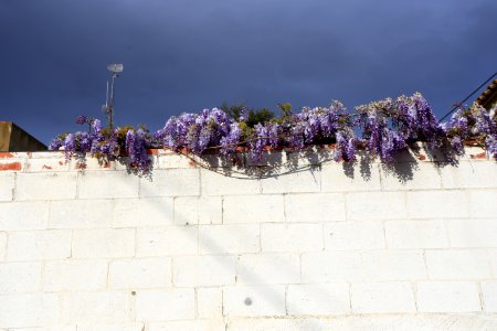 IMG 0331