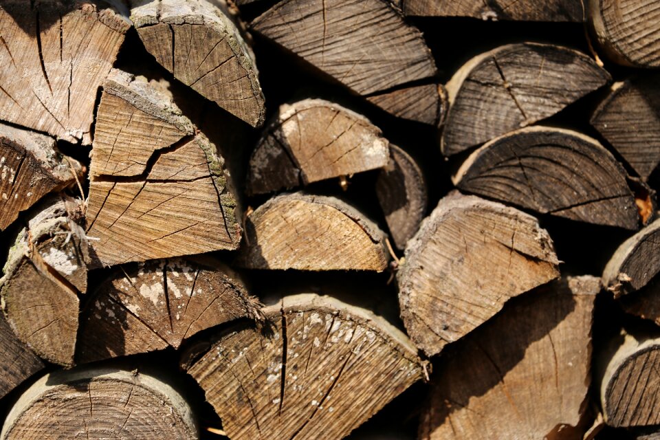 Fireplace burn forest