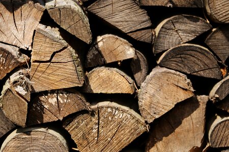 Fireplace burn forest
