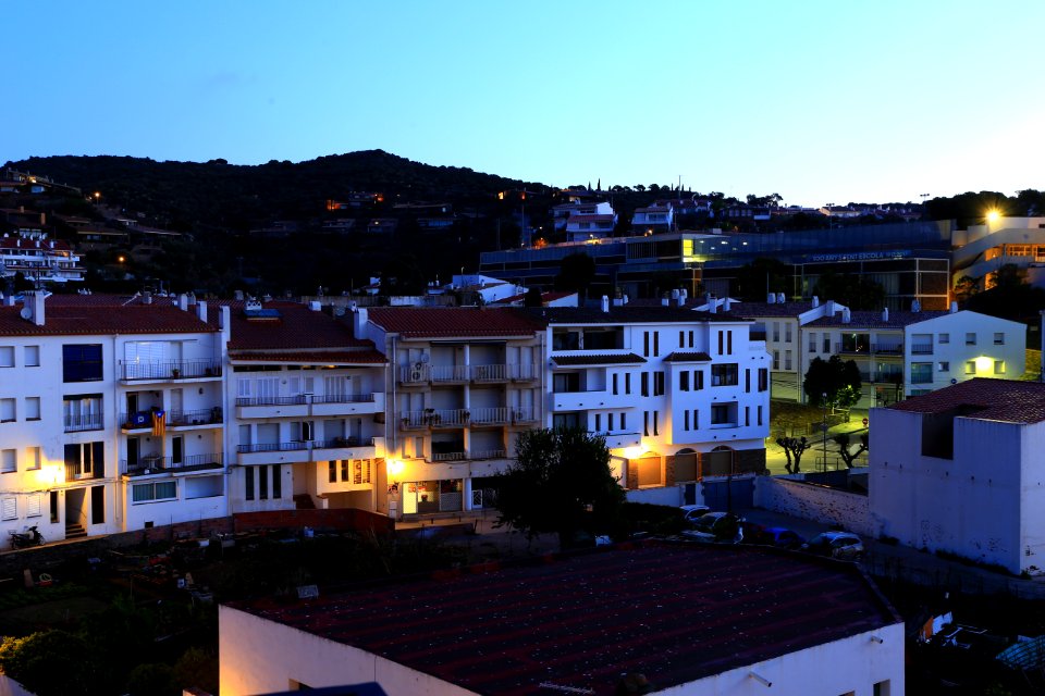 IMG 0521