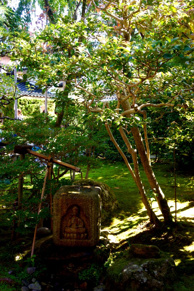 正久山 妙立寺 (忍者寺) / Myoryuji Temple (Ninjadera/Ninja Temple)