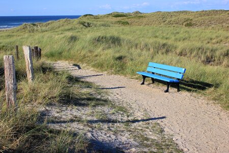 Grass sea north sea